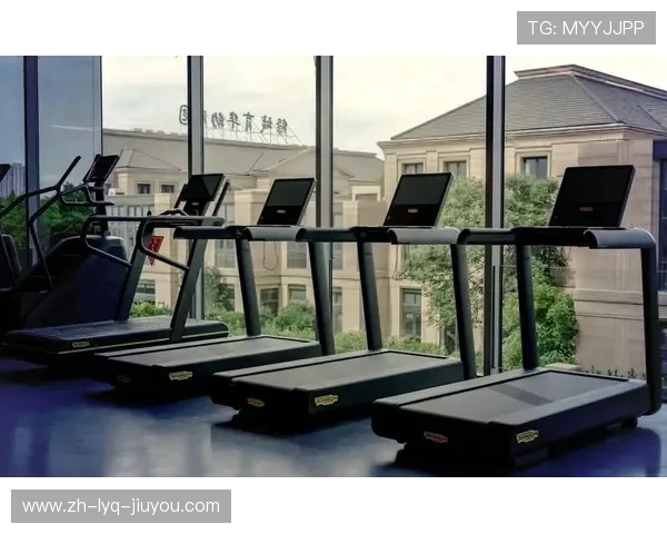 阳锐健身器材品牌特点与优势：为何这个品牌成为市场的领先者？